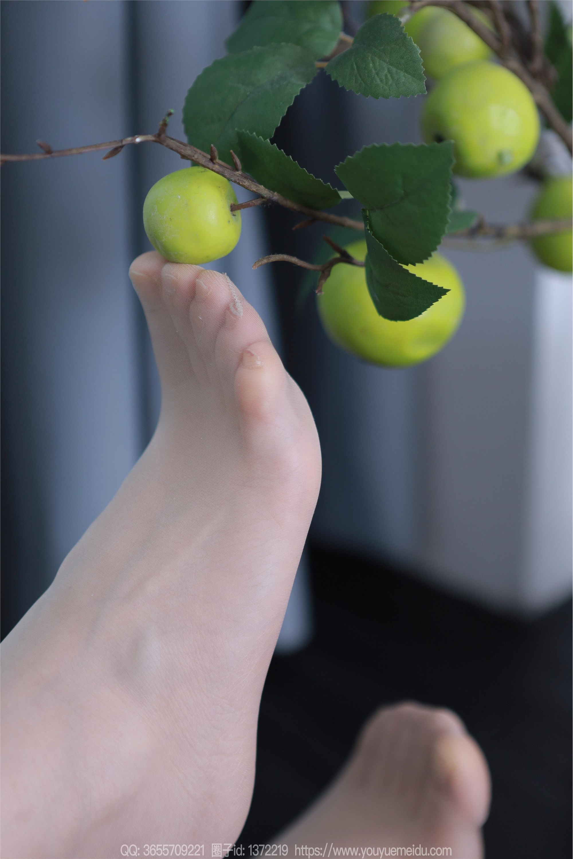 IESS异思趣向  2024.05.12 丝享家 1739 小婕《白色温柔》